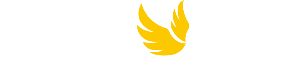 Angel City Sports Primary Logo